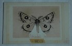 Bild 3 von 4