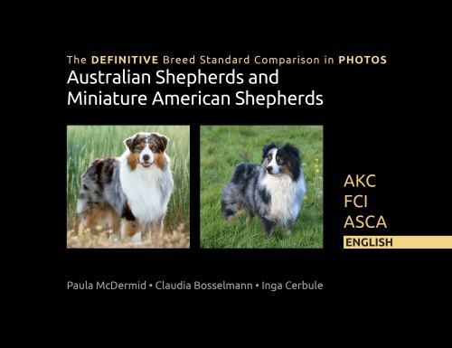 The DEFINITIVE Breed Standard Comparison in PHOTOS for Australian - Main Image