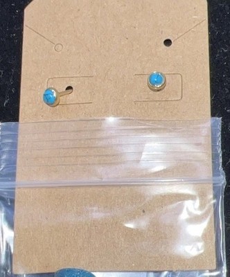 Turquoise Stud Earrings Stainless Steel  Surgical Steel Hypoallergenic Small New
