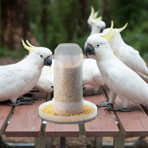 Automatic Bird Water Food Dispenser Parrot Food Bird vendre Feeder For Cage