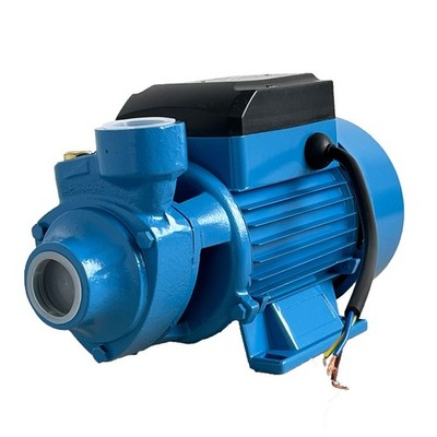 Water Pump 1/2HP Electric Clear Transfer Centrifugal Bio Diesel Pond Pool  110V