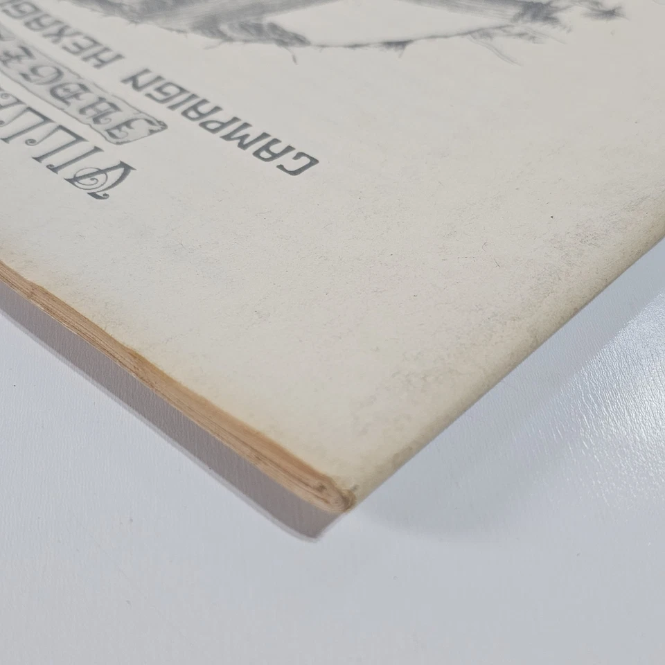 Libro 1 Campaña Hexágono Sub-Sistema Libro Mazmorras y Dragones Gremio de Jueces Foto 3 de 4