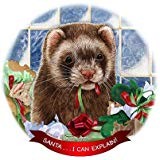 Ferret Chocolate Porcelain Ornament Pet Gift 'Santa. I Can Explain '