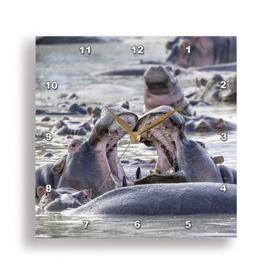 3dRose, Africa, Tanzania. Hippos yawn to show their teeth., Wall Clock