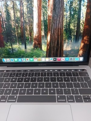Apple MacBook Pro 13'' 2019 256GB SSD 16GB RAM 2,4GHz Intel Core i5 - Space Grau