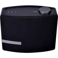 alexa bt speaker