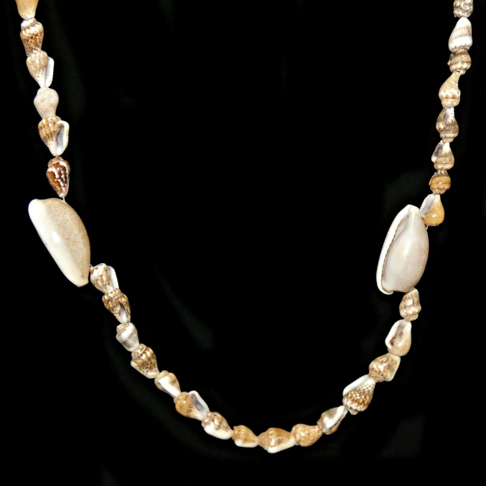 Shell Necklace Mini Conch Shells Extra Long Nauti… - image 2