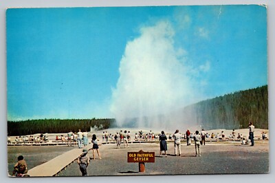 #ad Old Faithful Geyser Yellowstone National Park c1960 Unposted Vintage Postcard $3.99