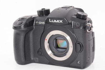 N.MINT/5675shots] Panasonic Lumix GH5 Camera Body From JAPAN