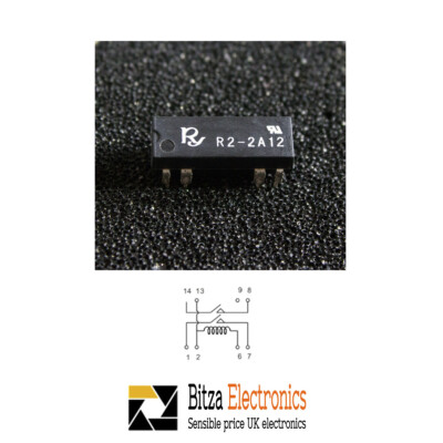 Rayex Dil Reed Relais 8 Pins 2PST-NO 12V Spule R2-2A12 8 Pin DIP