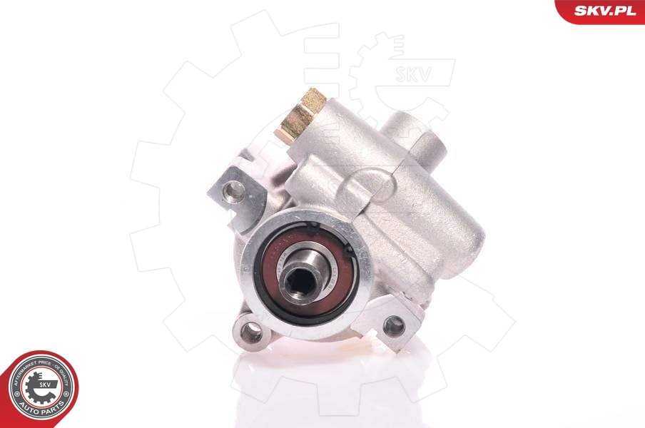 Fits SKV GERMANY 10SKV080 POWER STEERING PUMP