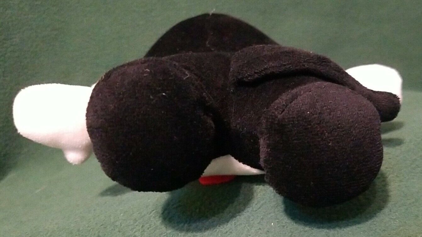 Picture 4 of 6