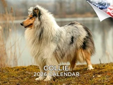 Collie Dog Breed Calendar 2026 12x18 Made in USA