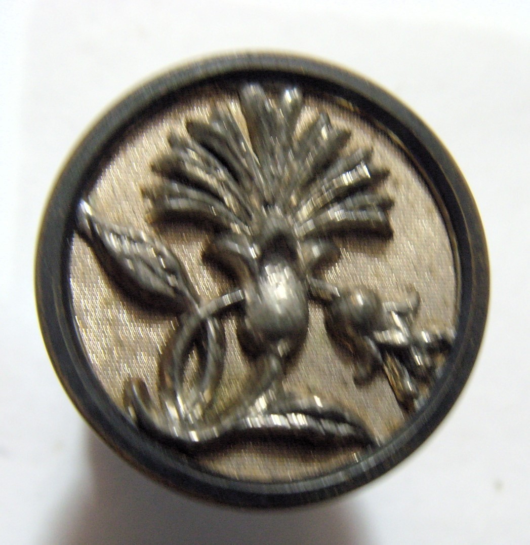 Picture 2 of 5