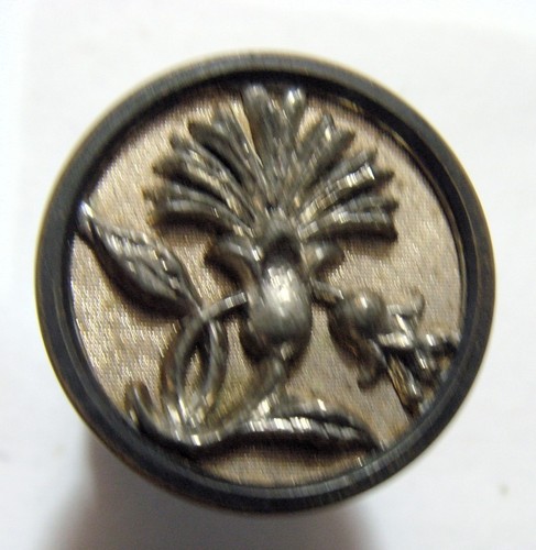 1800s antique 22 mm metal botanical Irish thistle rags to riches button 54126 - Picture 2 of 5