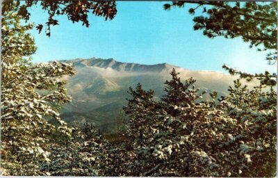 SCENE Great Smoky Mountain National Park Tennessee Historic Old Photo 2