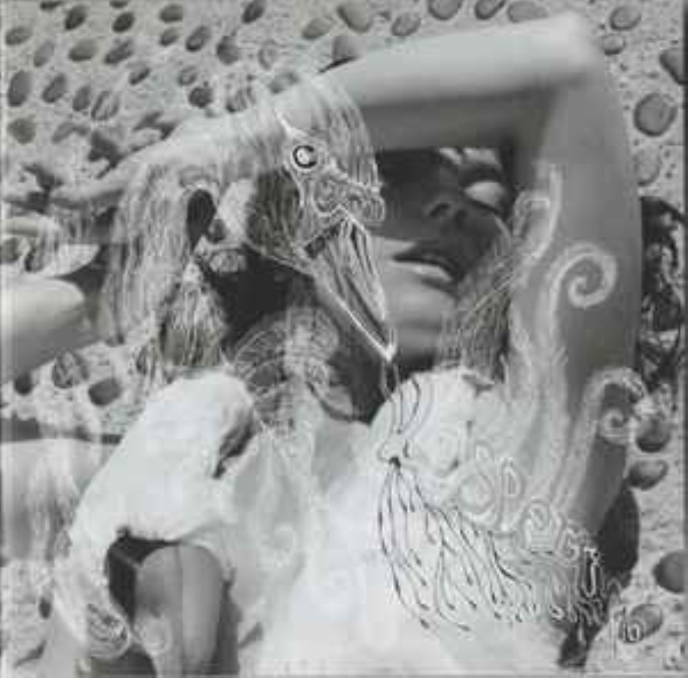 Björk - Björk – Vespertine CD Audio