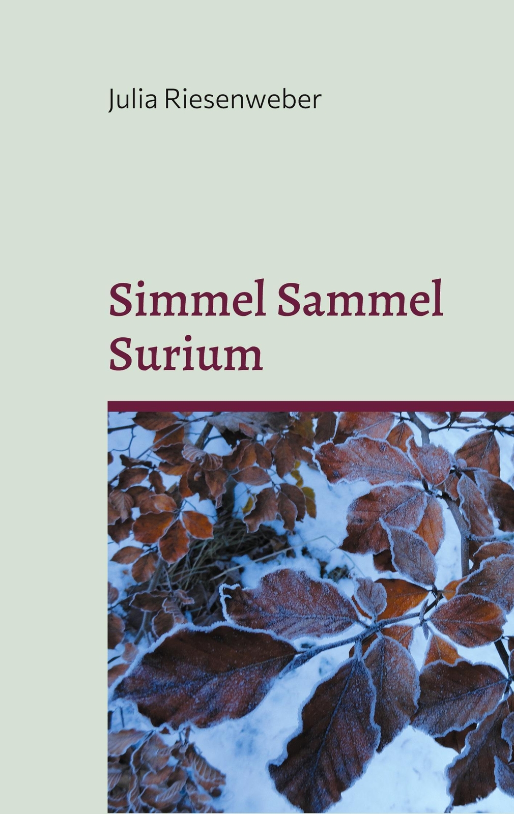 Julia Riesenweber | Simmel Sammel Surium | Taschenbuch | Deutsch