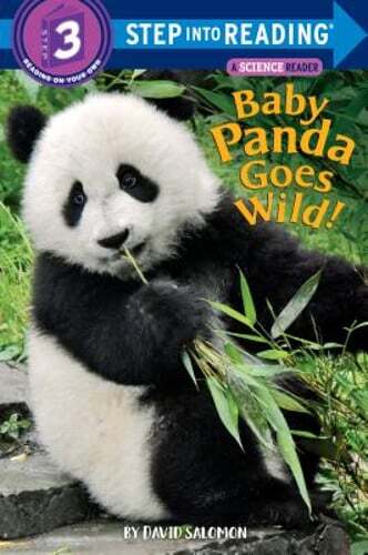 Baby Panda Goes Wild! by David Salomon: Used