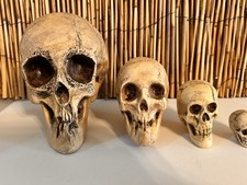4 EA. VINTAGE RANDOTTI SKULLS LG. SKULL, MEDIUM SKULL, PIXIE SKULL & SM. SKULL