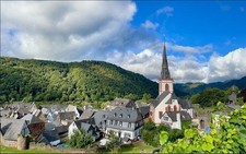 Trester Brand, (in Italien Grappa), Obstler , Kanister 5l, Weinbrand