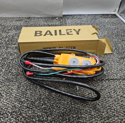 Bailey Chief 251317 HPU Remote DA, 2-button, 4-wire, 10 ft. Cord For 12V DC