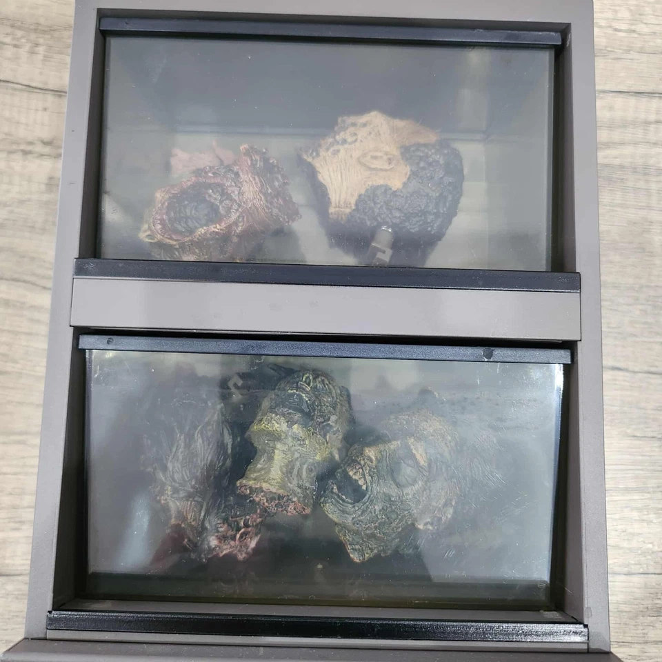 The Walking Dead Season 3 Blu-ray w Zombie Head Fish Tank - Halloween Decoration - Image 3 of 4