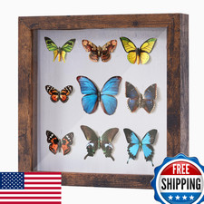 Muzilife 8x8 Shadow Box Picture Frame Deep Wood Glass Display Case Linen Board