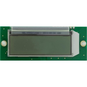 raypak lcd