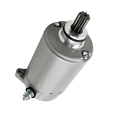 Direct Fit Anlasser Motor für Odes Dominator D2 D4 X2 X4 Ravager 1000 800