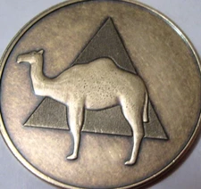 Bronze Alcoholics Anonymous AA Medallion Camel One Day at a Time Token Coin Chip