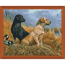 PixelHobby Friends in the Field Kit & Frame Mosaic Art Kit