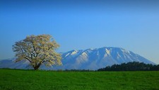 Landscape grass nature clear sky mountains trees field Custom Gaming Mat Desk