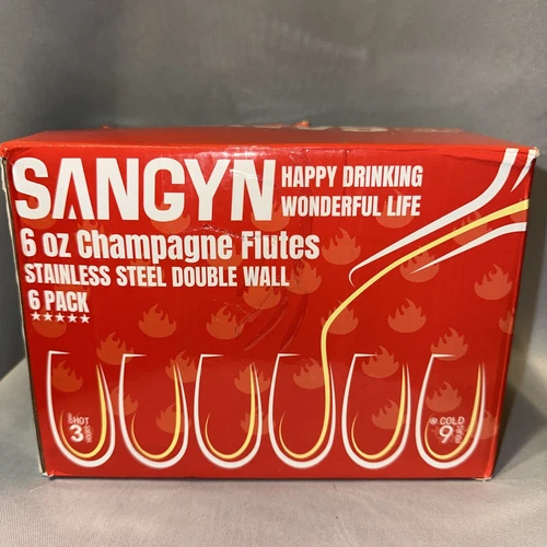 Lot Of 5 Sangyn 6oz Stemless Stainless Steel Double Wall Champagne Flutes NIB