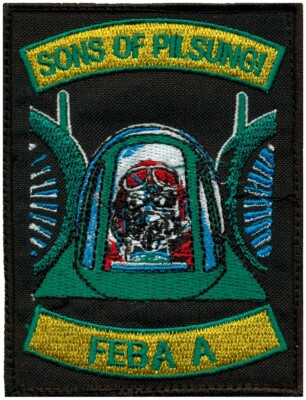 USAF 25th FIGHTER SQUADRON   FORWARD EDGE of BATTLE AREA A PATCH