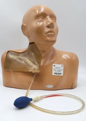 Blue Phantom Ultrasound Training Model Transparent Trauma Upper Torso Neck Head