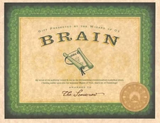 Wizard Of Oz Emerald City Certification Of Brains The Scarecrow Prop/Replica