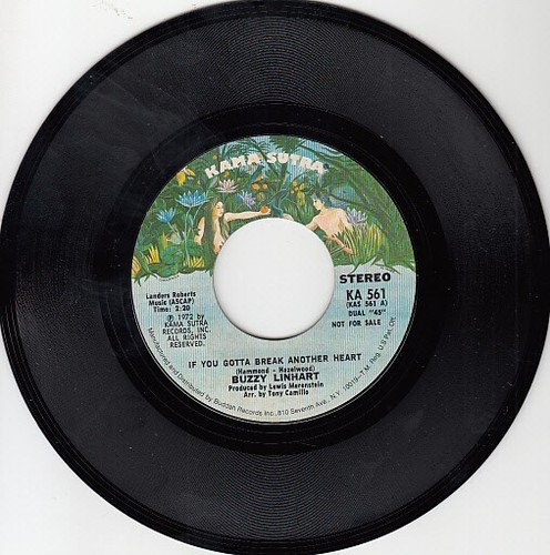 Buzzy Linhart – If You Gotta Break Another Heart (Mono/Stereo) 7" Promotional 45 - Picture 11 of 24