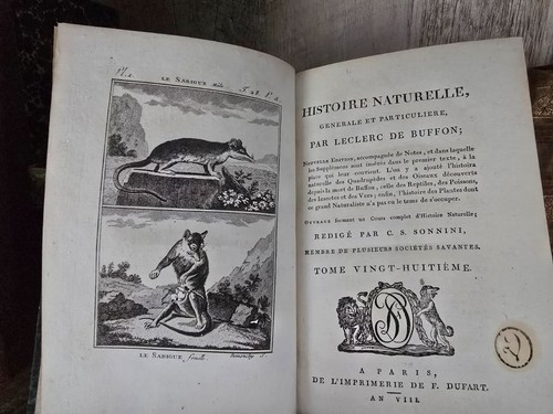 1799 BUFFON - NATURAL HISTORY OF QUADRUPEDS - Elephants, Rhinoceroses, Opossums - Imagen 2 de 24