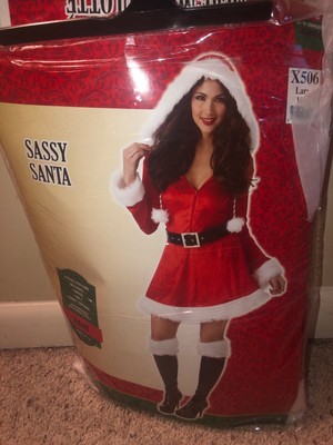 sassy santa costume