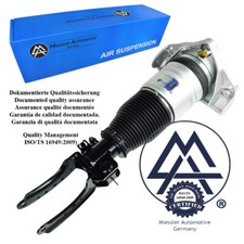 Audi Q7(4L),Touareg(7L),Cayenne(9PA) suspension strut, front right