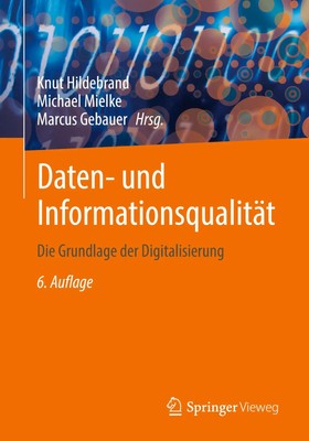 Knut Hildebrand (u. a.) | Daten- und Informationsqualität | Taschenbuch (2025)