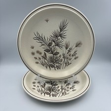 W H Grindley "Pinewood" Dinner Plate x 2 Made in England 26cm Diameter