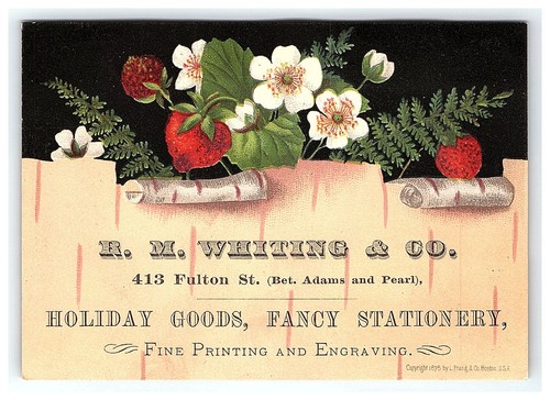 Impresión de tarjetas victorianas de la década de 1880 R M Whiting & Co grabado Fulton St Brooklyn NY - Imagen 4 de 5