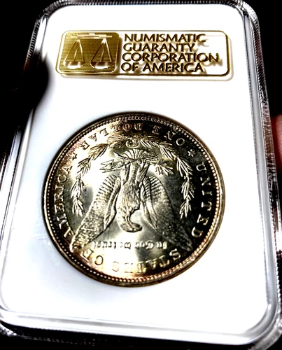 1889 MORGAN DOLLAR VERY PQ* GEM * OLD NGC MS64 RARE GEN 3.0 HOLDER