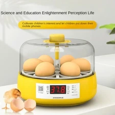 Chicken Incubator Small Home Intelligent Waterbed Parrot Automatic Incubator