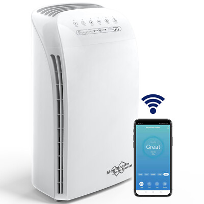 Home True HEPA Air Purifier Large Room Smart WIFI Air Purifier for Allergies Pet