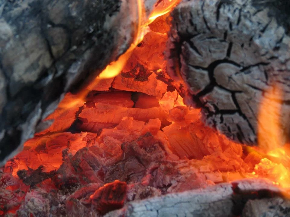 Maple sugar candy in decorative tin 1 lbs. 1/2 lbs.  - Image 3 of 4