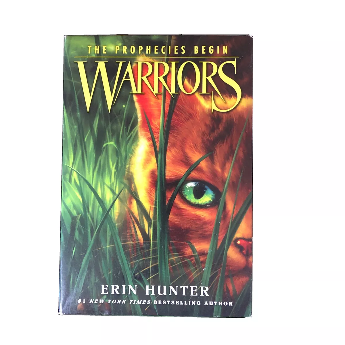 Warrior Cats Series Erin Hunter Books Set Pack Prophecies Begin