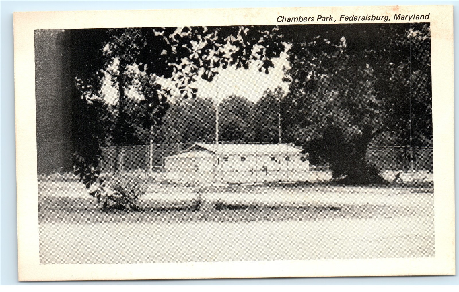 *Chambers Park Federalsburg Maryland MD Vintage Postcard B37 eBay